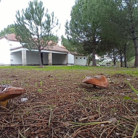 Вилла Casa De Perais Экстерьер фото